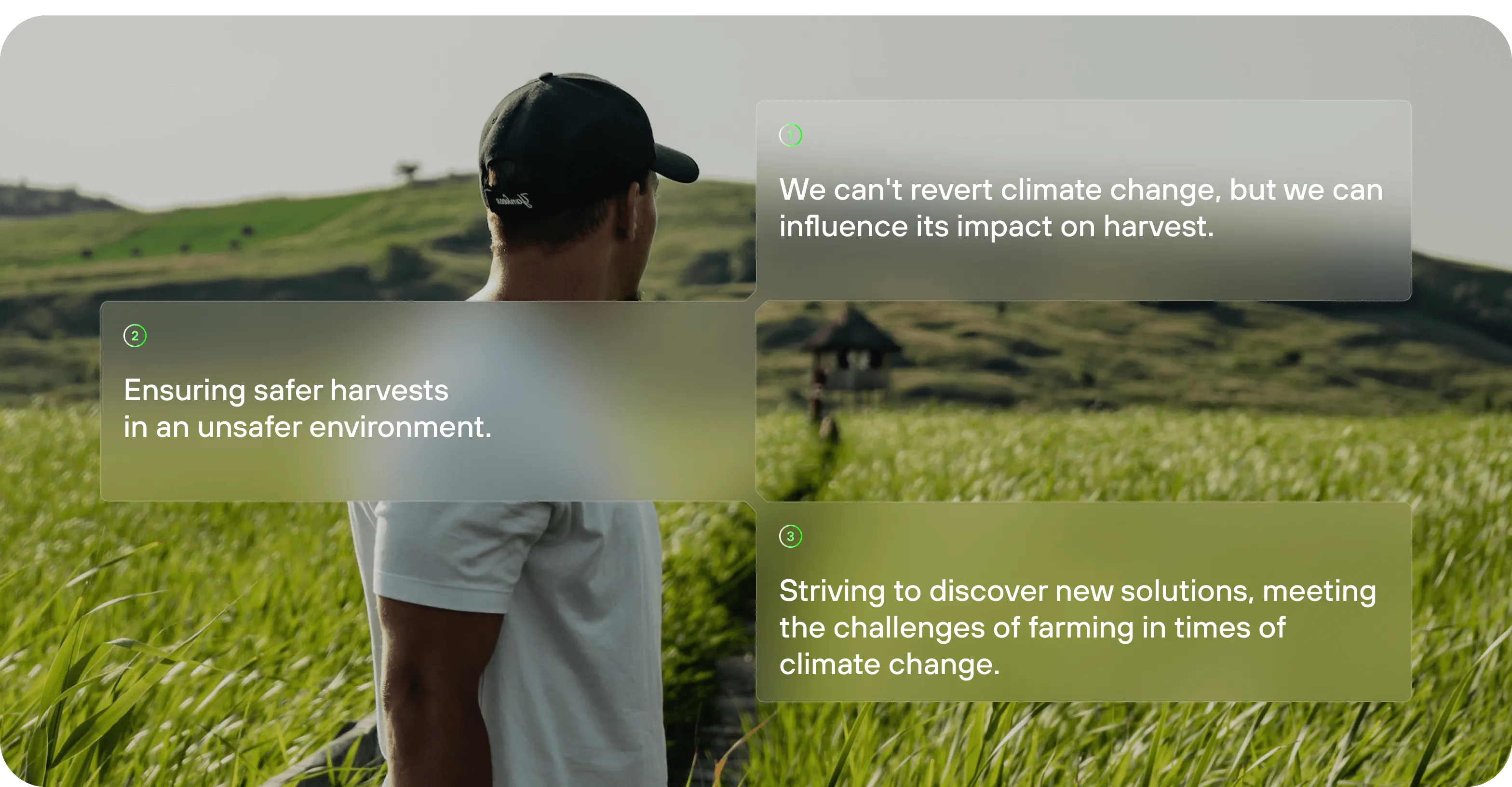 UX/UI design & web development for agritech - form-rework.goodface.works