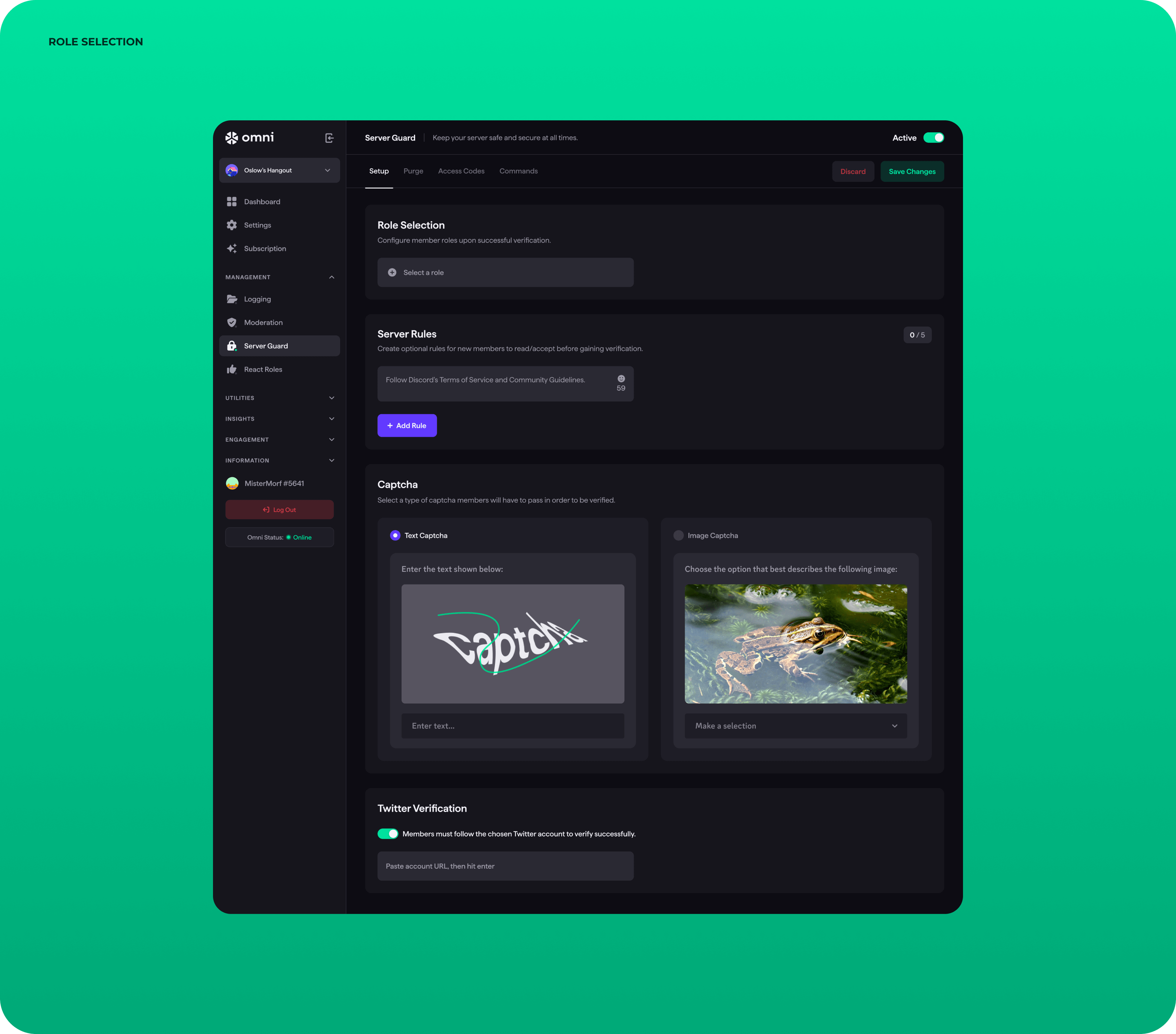 UX/UI design & web development for Discord server management - form-rework.goodface.works