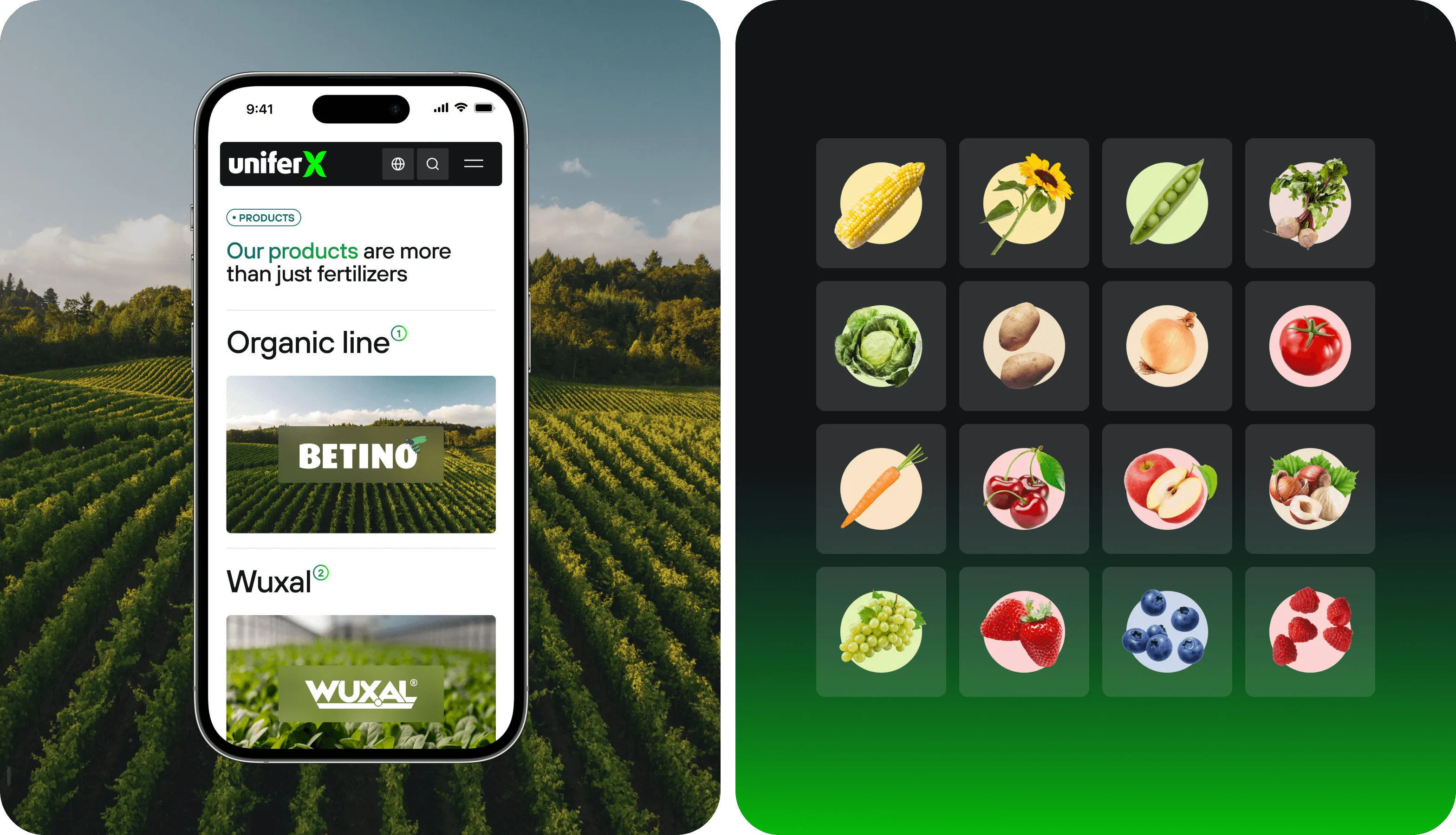 UX/UI design & web development for agritech - form-rework.goodface.works