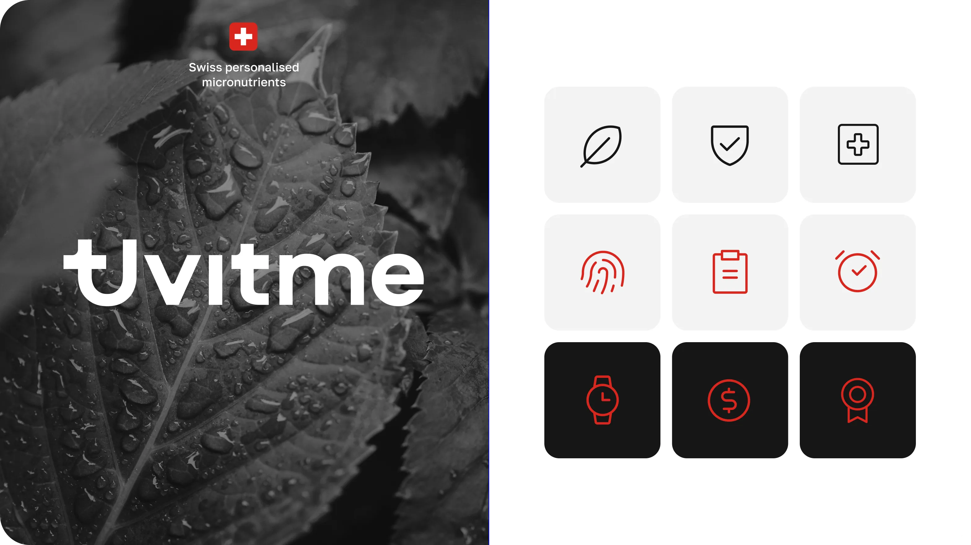Brand identity and logo design services – Goodface agency  - form-rework.goodface.works